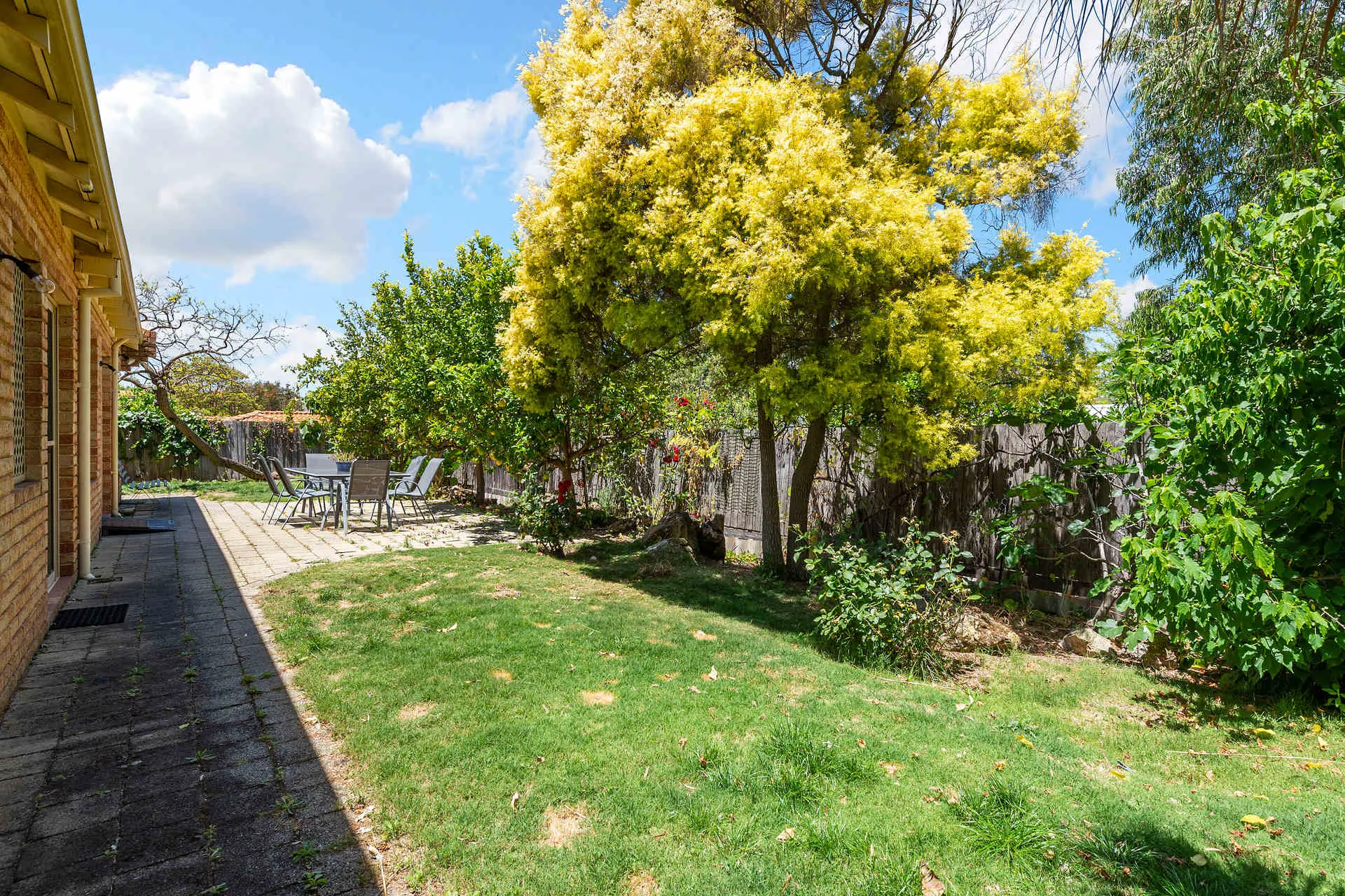 20b Swan Street Mosman Park Wa 6012 - Image 12