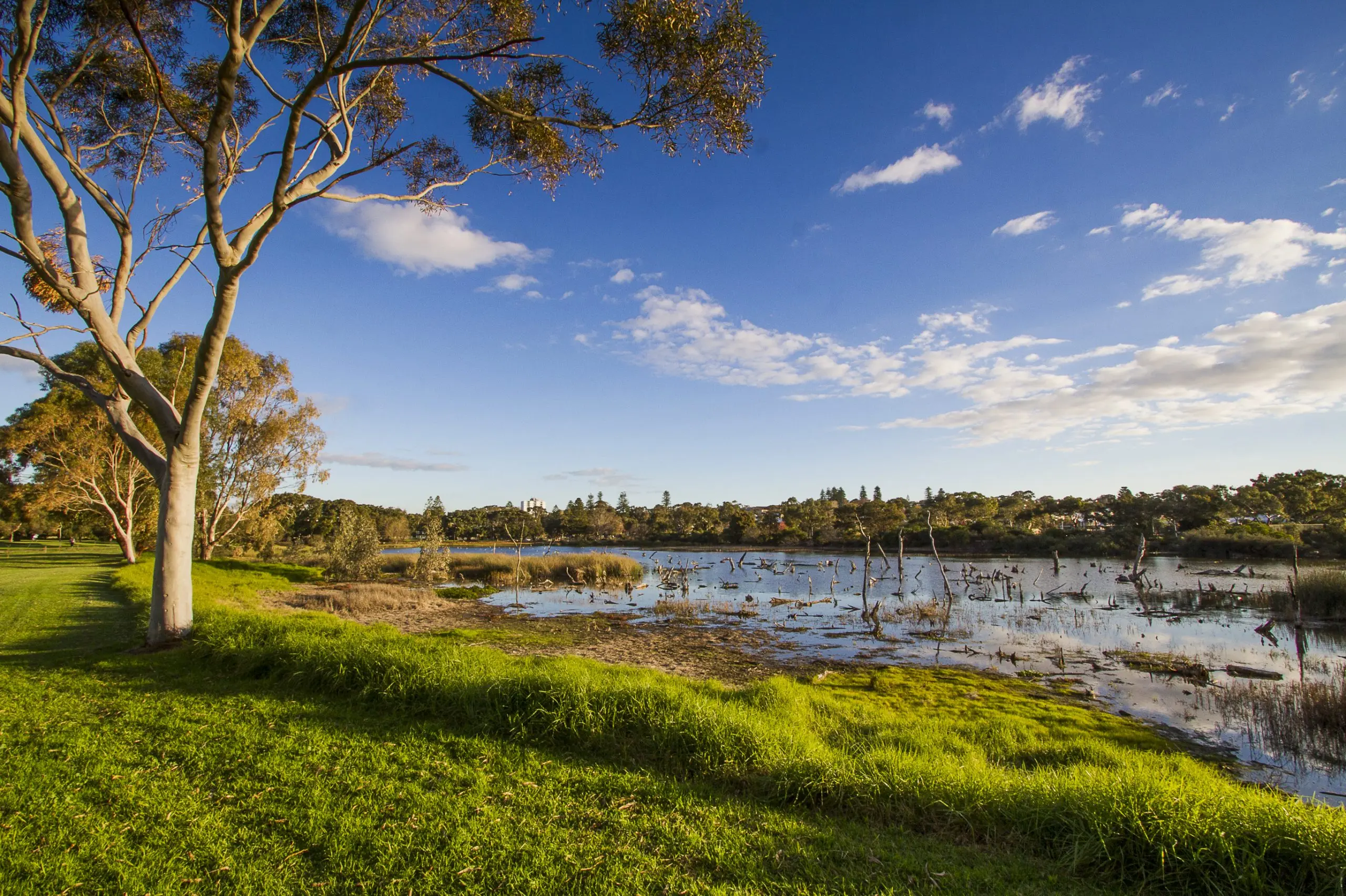 55b Second Avenue Claremont Wa 6010 - Image 1